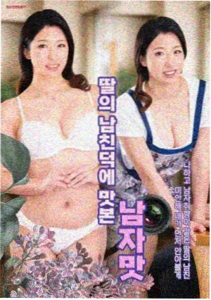 热播电视剧